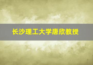 长沙理工大学唐欣教授