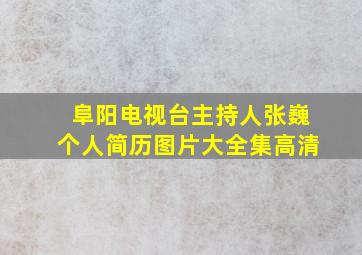 阜阳电视台主持人张巍个人简历图片大全集高清