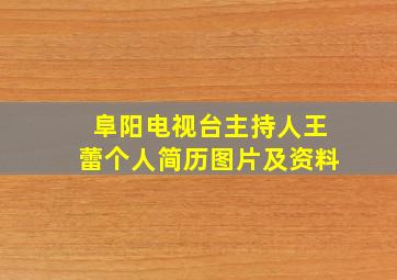 阜阳电视台主持人王蕾个人简历图片及资料