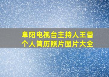 阜阳电视台主持人王蕾个人简历照片图片大全