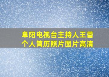 阜阳电视台主持人王蕾个人简历照片图片高清