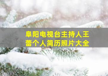 阜阳电视台主持人王蕾个人简历照片大全