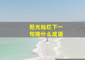 阳光灿烂下一句接什么成语