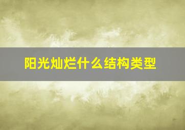 阳光灿烂什么结构类型