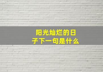 阳光灿烂的日子下一句是什么