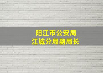 阳江市公安局江城分局副局长