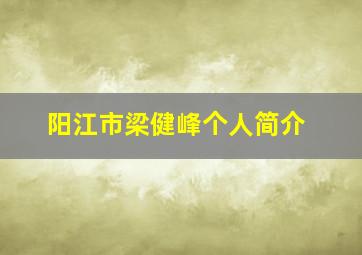 阳江市梁健峰个人简介