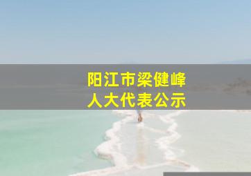 阳江市梁健峰人大代表公示