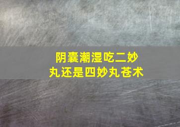 阴囊潮湿吃二妙丸还是四妙丸苍术