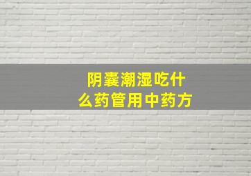 阴囊潮湿吃什么药管用中药方