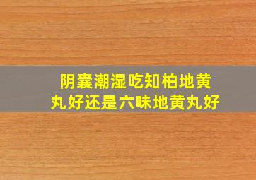 阴囊潮湿吃知柏地黄丸好还是六味地黄丸好