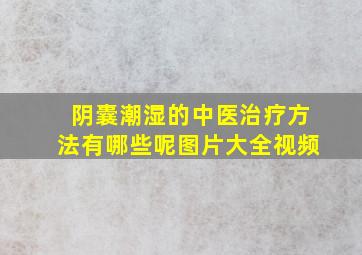 阴囊潮湿的中医治疗方法有哪些呢图片大全视频