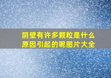 阴壁有许多颗粒是什么原因引起的呢图片大全