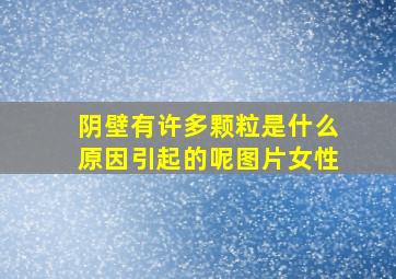 阴壁有许多颗粒是什么原因引起的呢图片女性