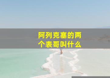 阿列克塞的两个表哥叫什么