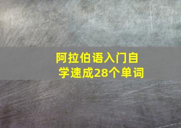 阿拉伯语入门自学速成28个单词