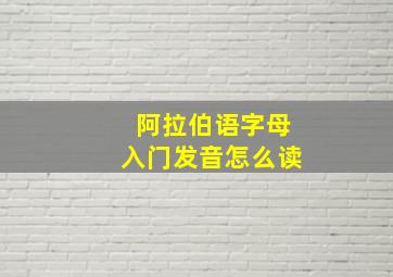 阿拉伯语字母入门发音怎么读