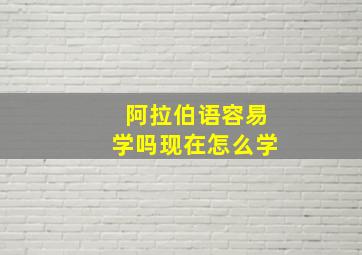 阿拉伯语容易学吗现在怎么学