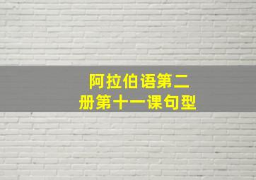 阿拉伯语第二册第十一课句型