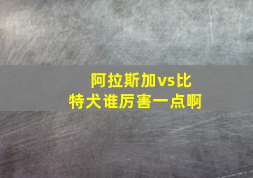 阿拉斯加vs比特犬谁厉害一点啊