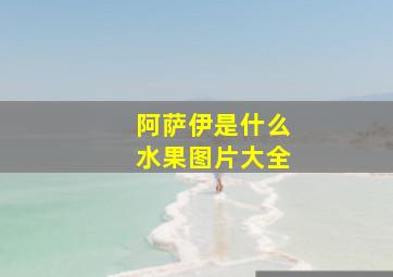 阿萨伊是什么水果图片大全