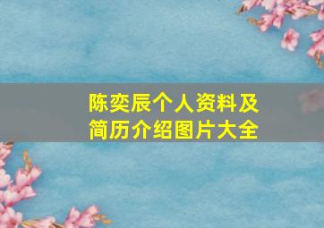 陈奕辰个人资料及简历介绍图片大全