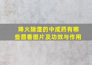 降火除湿的中成药有哪些茴香图片及功效与作用