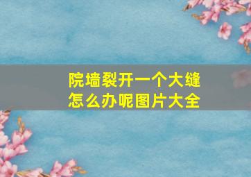 院墙裂开一个大缝怎么办呢图片大全