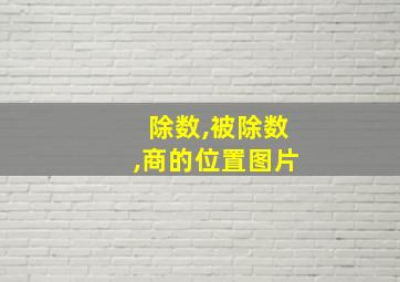 除数,被除数,商的位置图片