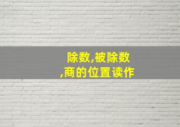 除数,被除数,商的位置读作