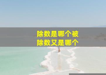 除数是哪个被除数又是哪个