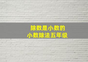 除数是小数的小数除法五年级