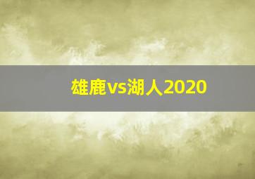 雄鹿vs湖人2020