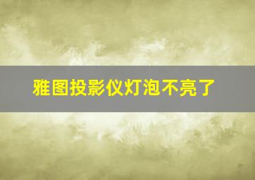 雅图投影仪灯泡不亮了