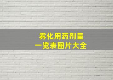 雾化用药剂量一览表图片大全