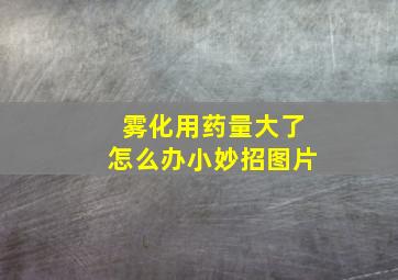 雾化用药量大了怎么办小妙招图片