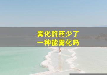 雾化的药少了一种能雾化吗