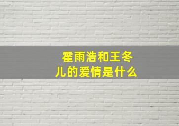 霍雨浩和王冬儿的爱情是什么