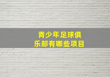 青少年足球俱乐部有哪些项目