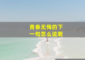 青春无悔的下一句怎么说呢