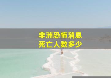 非洲恐怖消息死亡人数多少