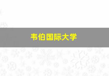 韦伯国际大学