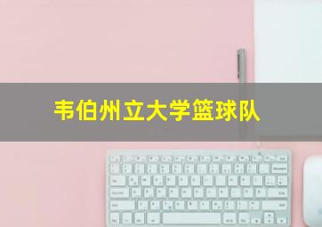 韦伯州立大学篮球队