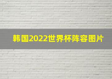 韩国2022世界杯阵容图片