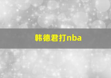 韩德君打nba