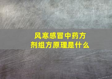 风寒感冒中药方剂组方原理是什么