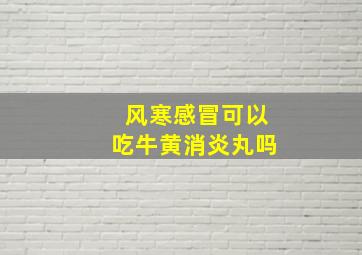 风寒感冒可以吃牛黄消炎丸吗