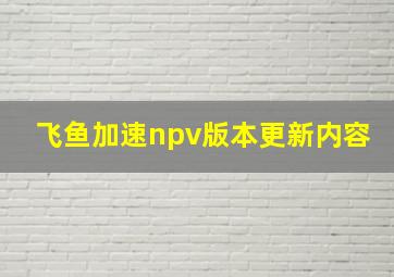 飞鱼加速npv版本更新内容