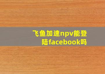 飞鱼加速npv能登陆facebook吗