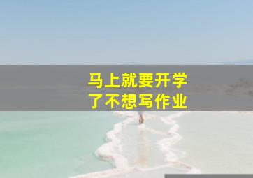 马上就要开学了不想写作业